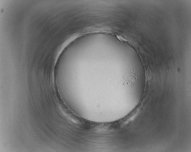 X0000079340148200612151916