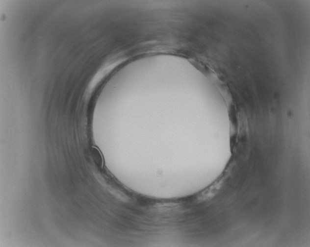 X0000079340150200612151916