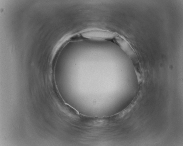 X0000079340152200612151916