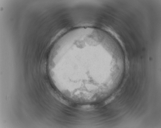 X0000079340153200612151916