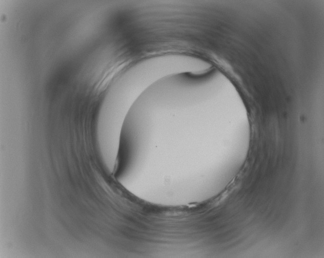 X0000079340154200612151916