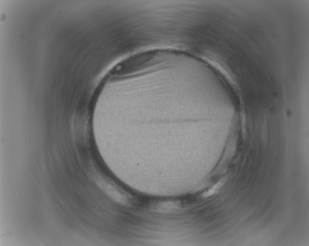 X0000079340156200612151916