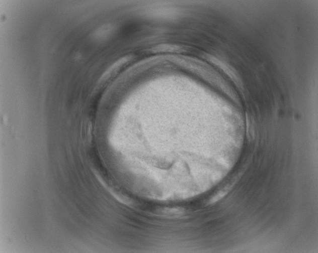 X0000079340157200612151916