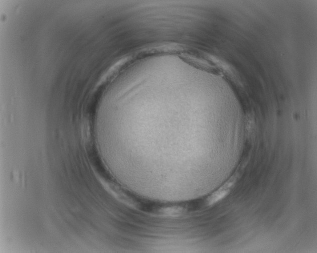 X0000079340158200612151916