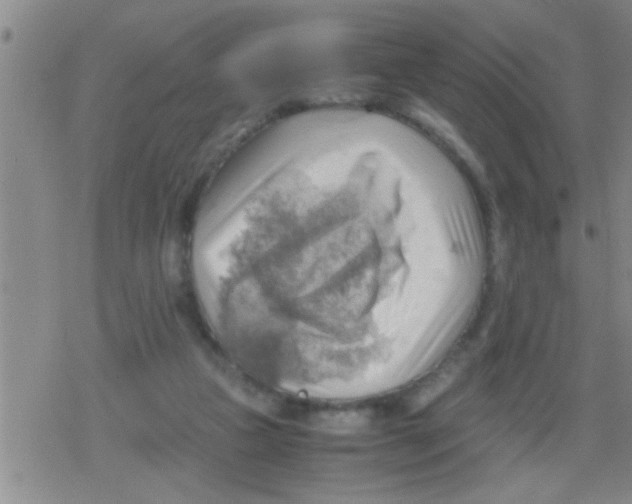 X0000079340161200612151916