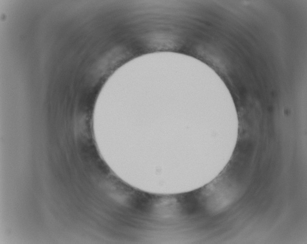 X0000079340162200612151917