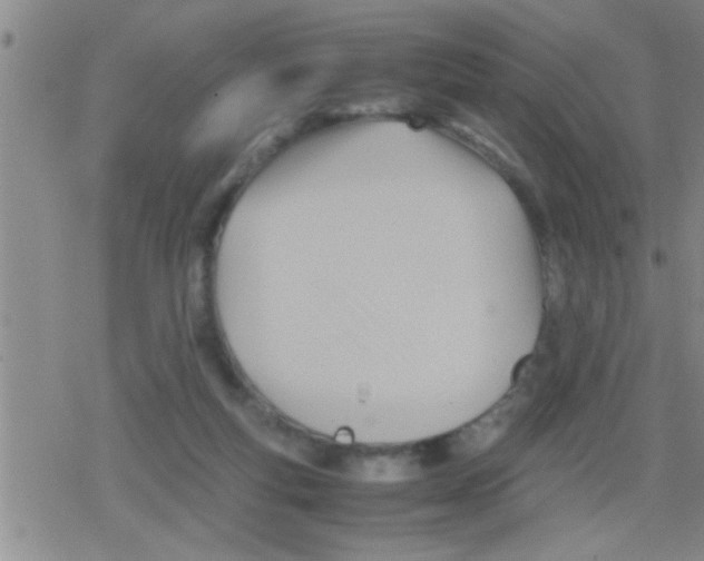 X0000079340163200612151917