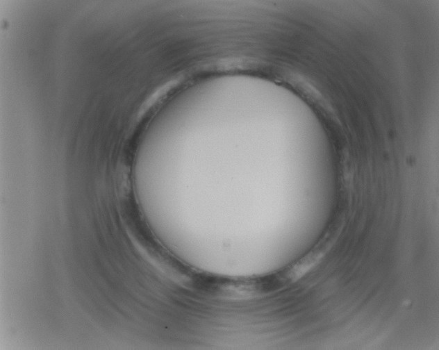 X0000079340164200612151917