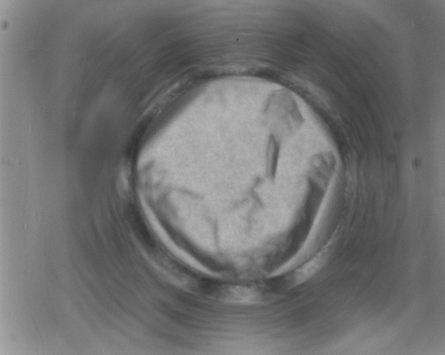 X0000079340166200612151917