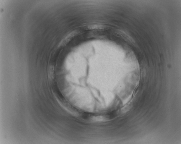 X0000079340171200612151917