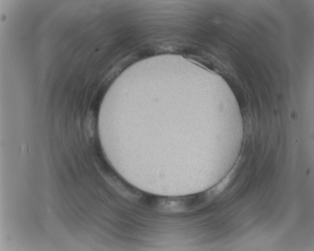 X0000079340174200612151917