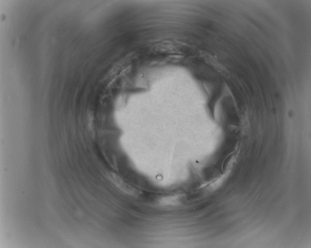 X0000079340178200612151917