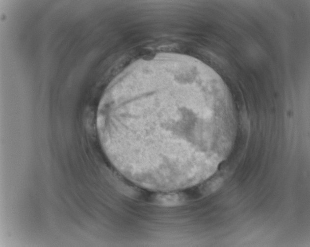 X0000079340181200612151917