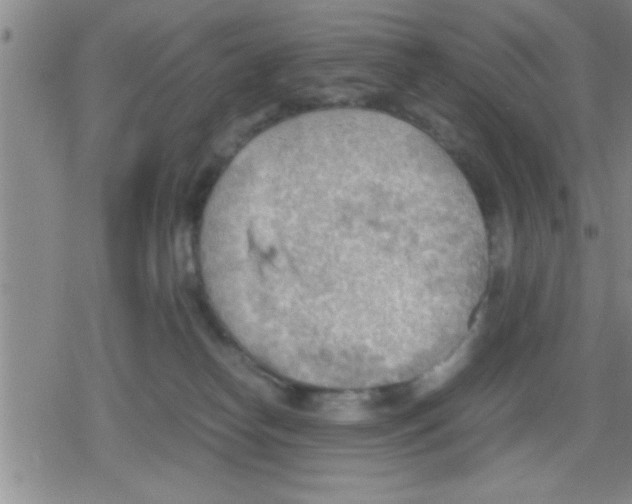 X0000079340182200612151917