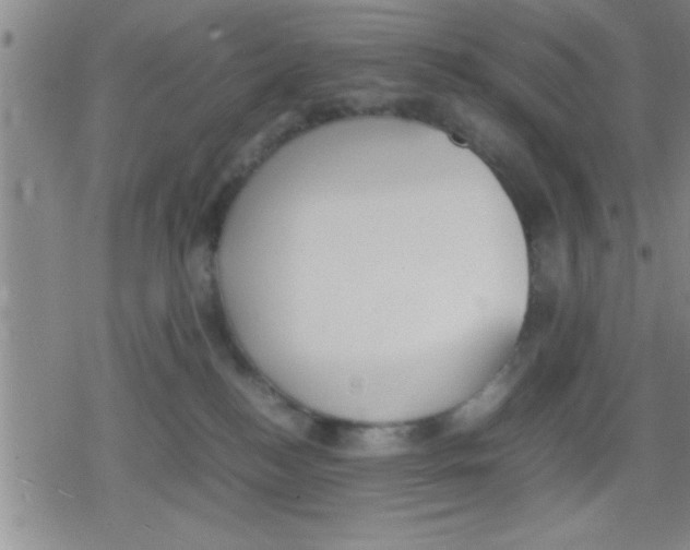 X0000079340184200612151917