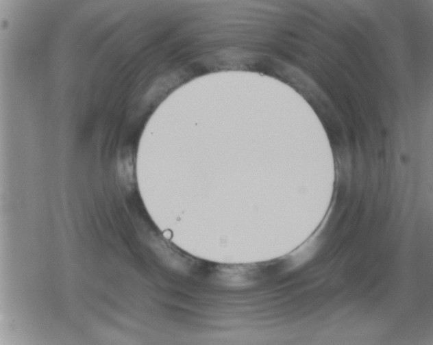 X0000079340190200612151917