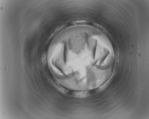 X0000079340191200612151917