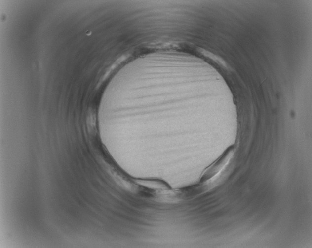 X0000079340192200612151917