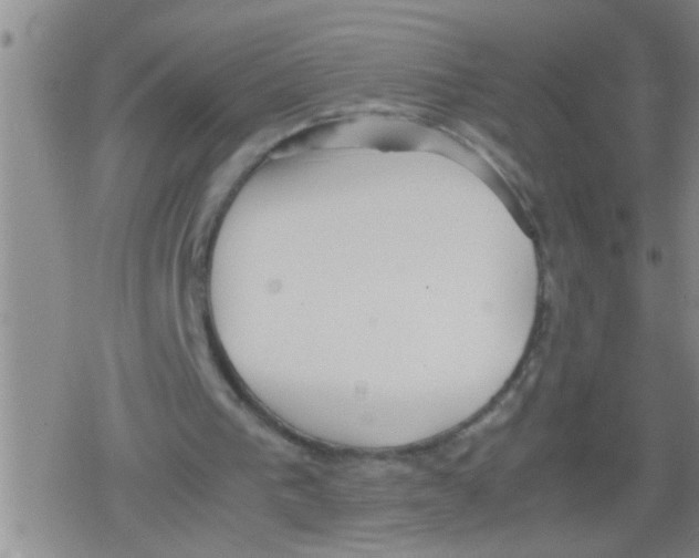 X0000079340193200612151916