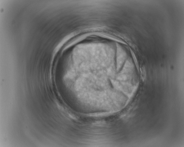 X0000079340196200612151916