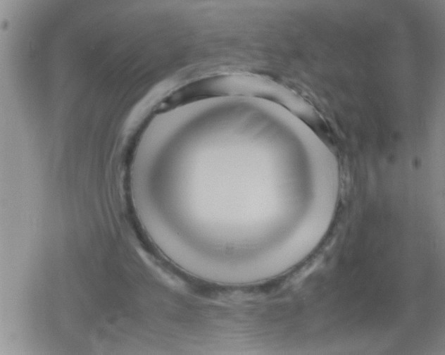 X0000079340197200612151916