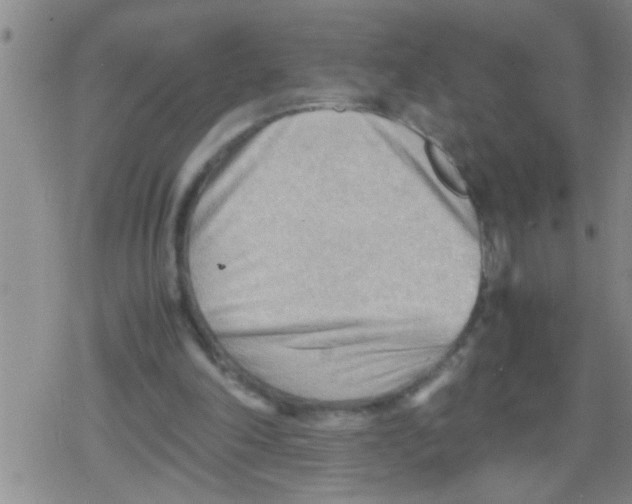 X0000079340198200612151916