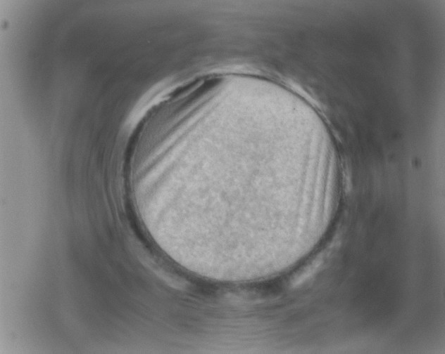 X0000079340199200612151916