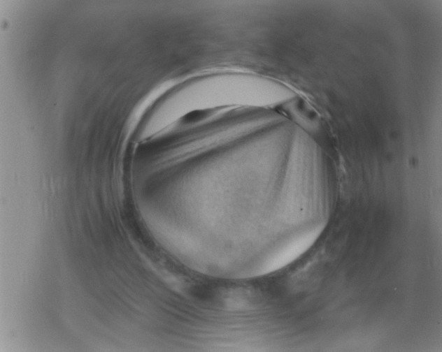 X0000079340200200612151916