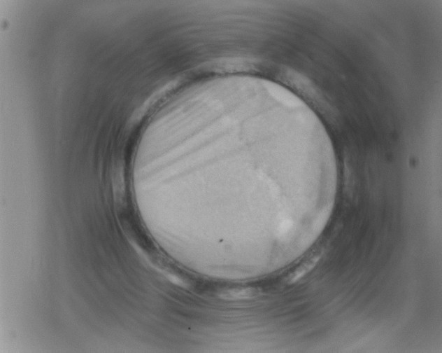 X0000079340202200612151916