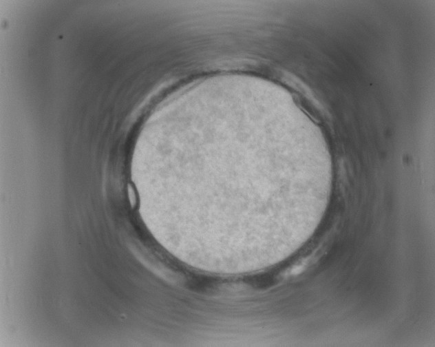 X0000079340203200612151916