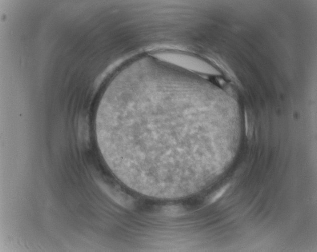 X0000079340204200612151916