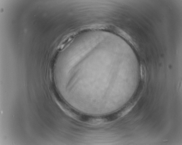 X0000079340205200612151916