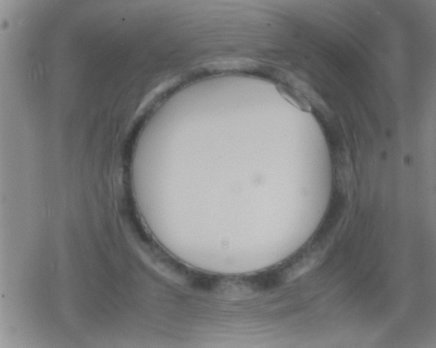 X0000079340207200612151916