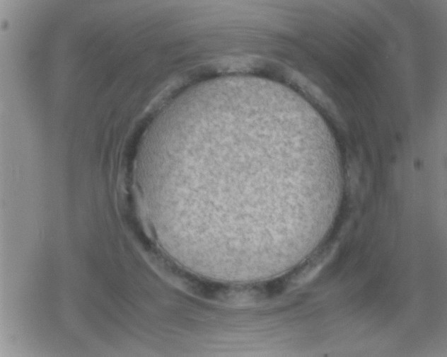 X0000079340209200612151916