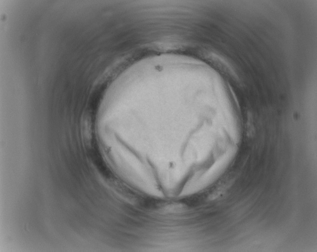 X0000079340210200612151916