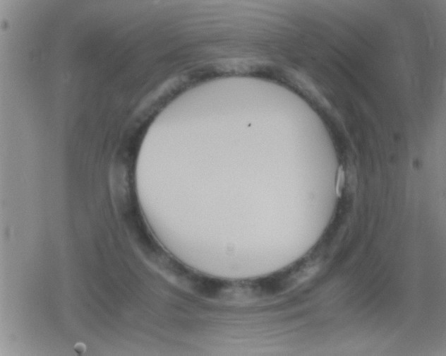 X0000079340211200612151916