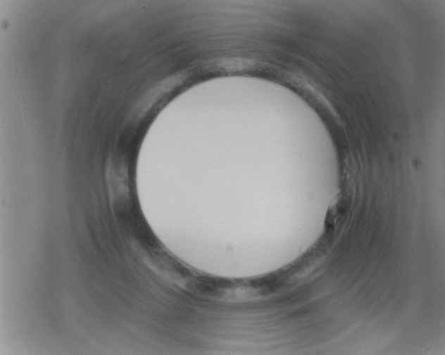 X0000079340212200612151916