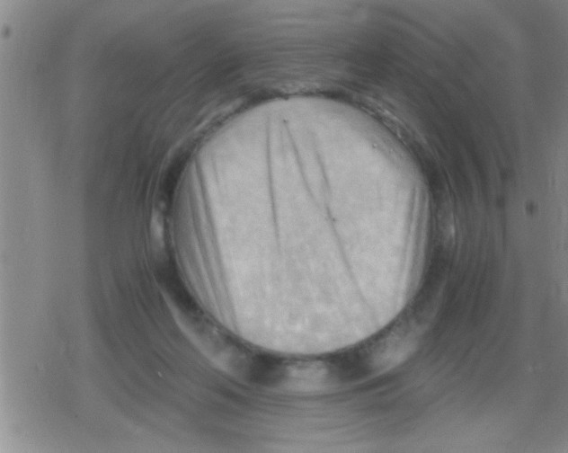 X0000079340214200612151916