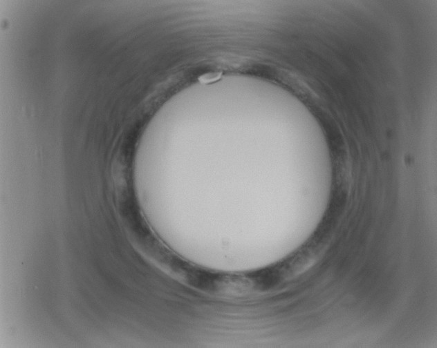 X0000079340215200612151916