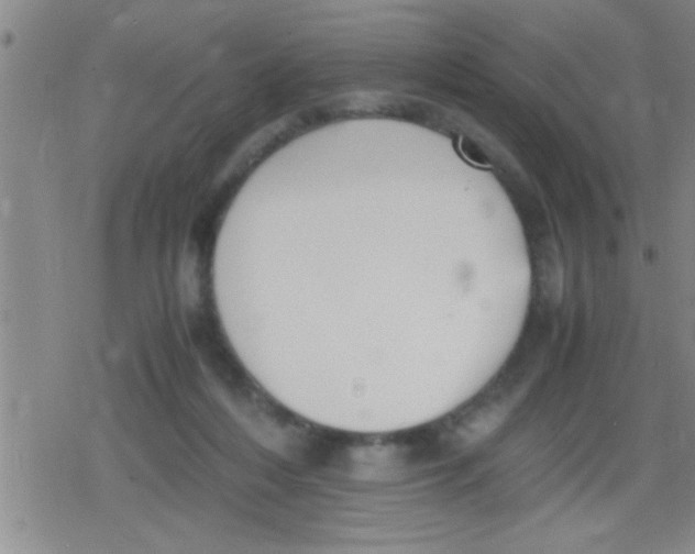 X0000079340216200612151916