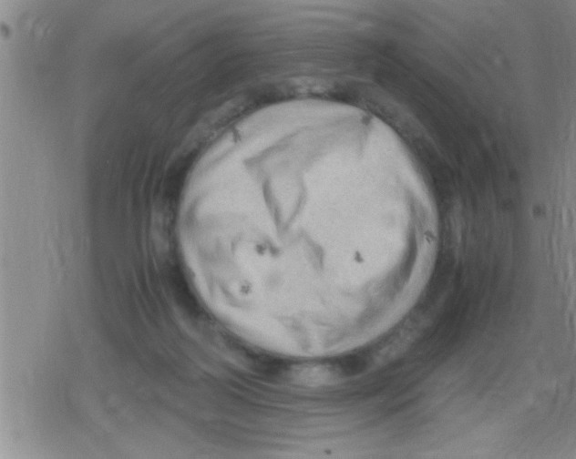 X0000079340218200612151916