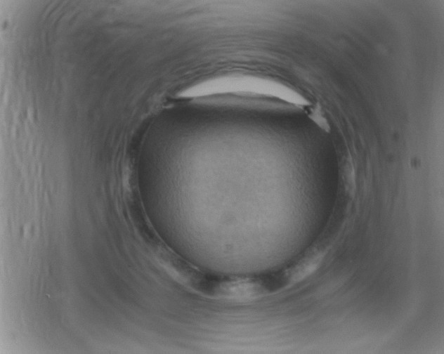 X0000079340219200612151916