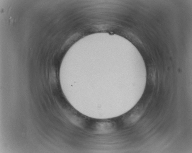 X0000079340220200612151916