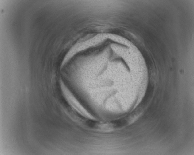 X0000079340221200612151916