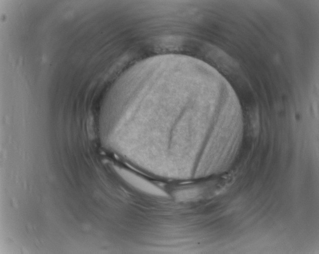 X0000079340224200612151916