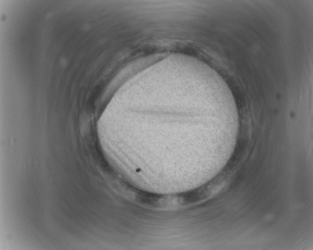 X0000079340225200612151916