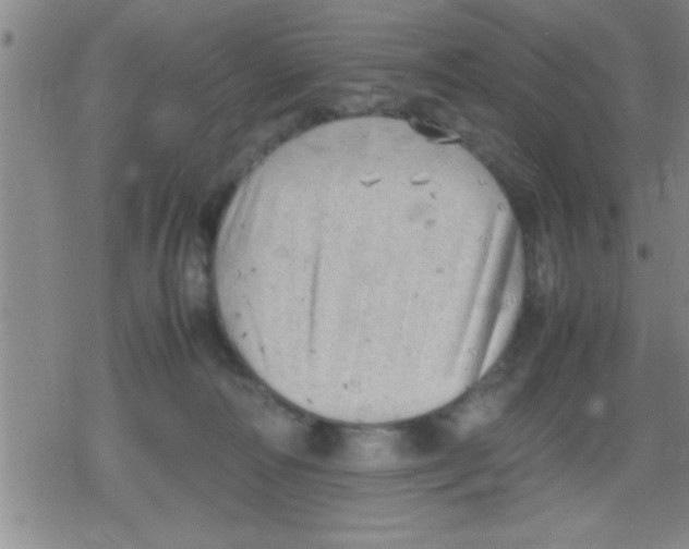 X0000079340226200612151916