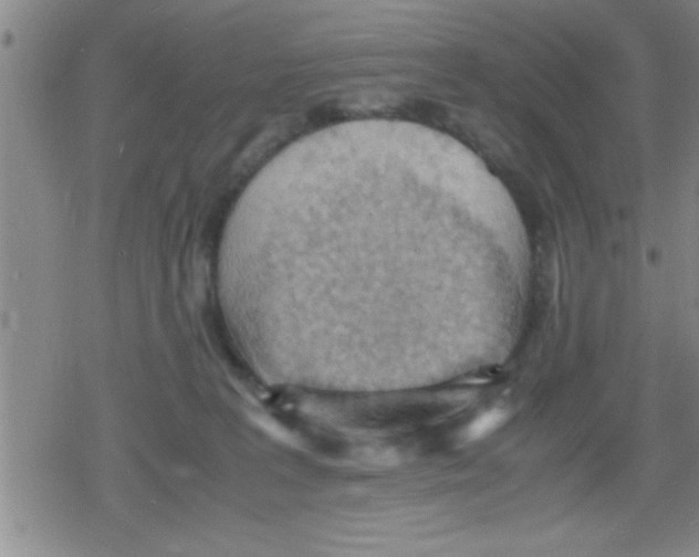 X0000079340227200612151916