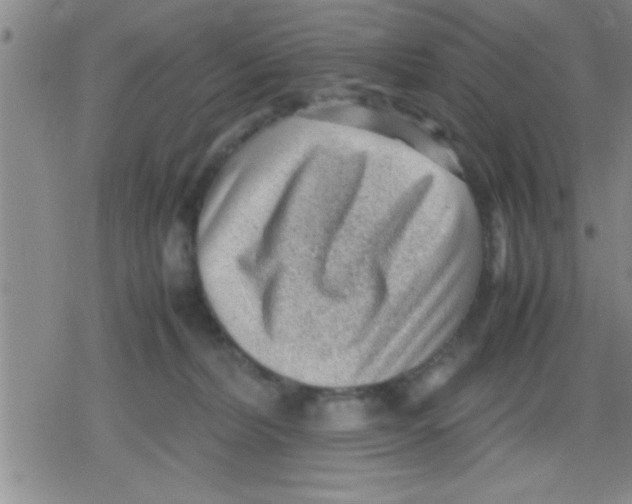 X0000079340228200612151916