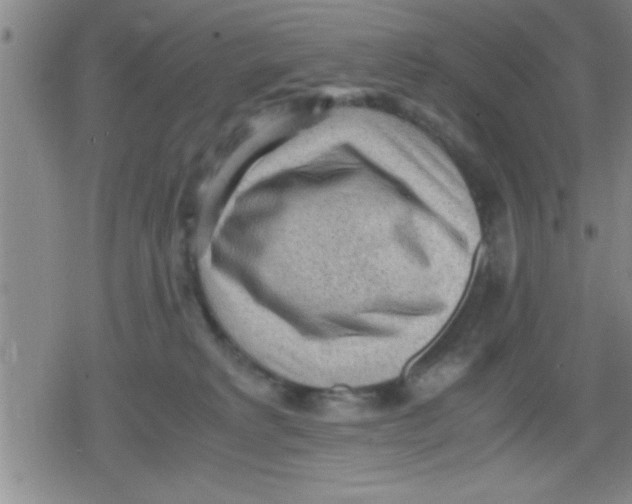 X0000079340229200612151916